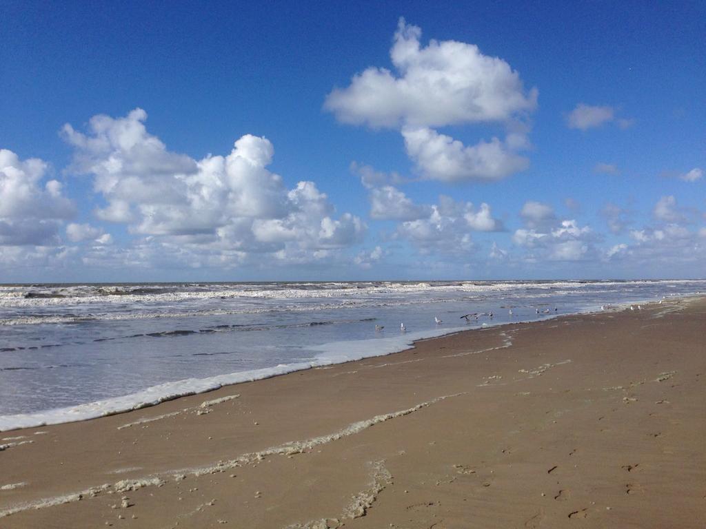 Apartament Berrie'S Sea View Zandvoort Zewnętrze zdjęcie