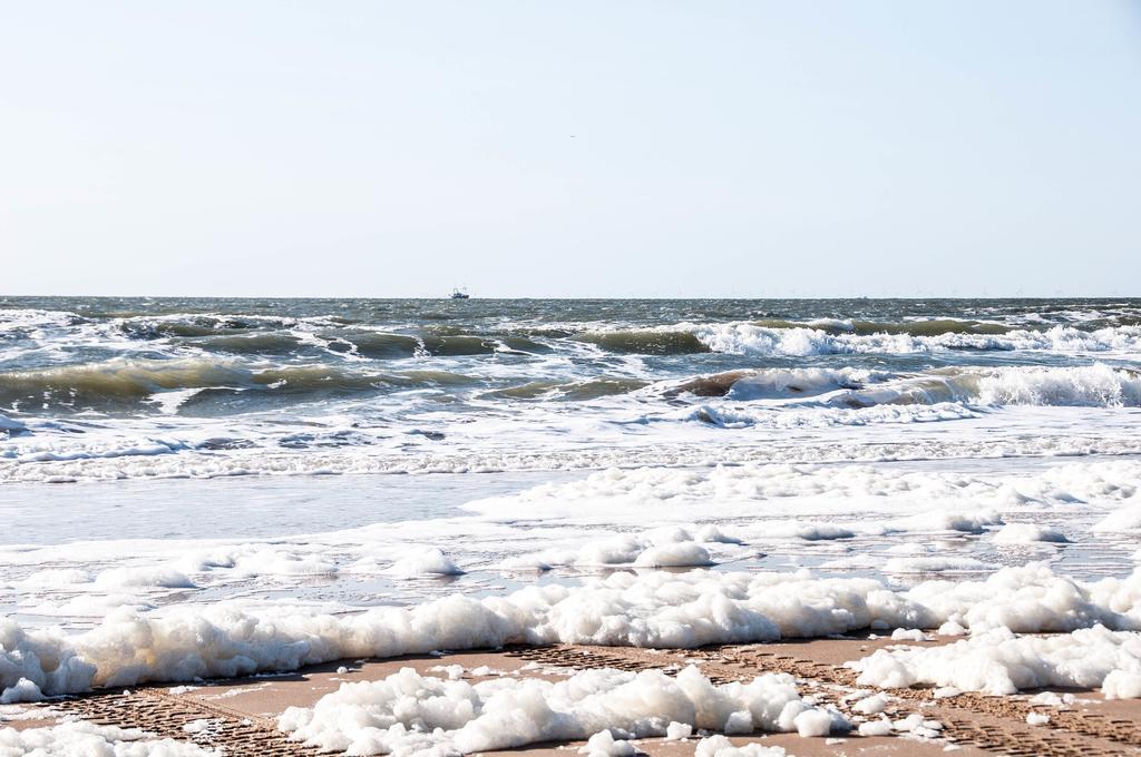 Apartament Berrie'S Sea View Zandvoort Zewnętrze zdjęcie